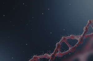 DeStor VCCRI Case Study